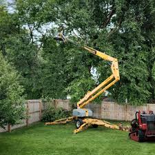 Best Lawn Pest Prevention  in Coachella, CA