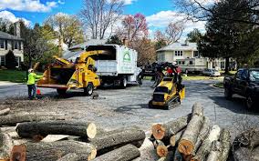 Best Aeration Services  in Coachella, CA